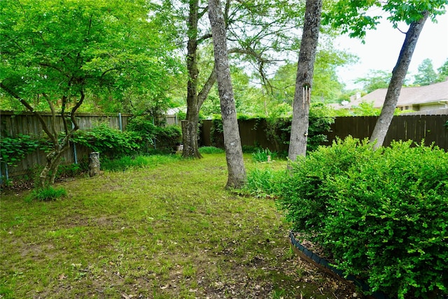 1030 Laurel Ln, Paris, TX 75460 - view of yard with a fenced backyard