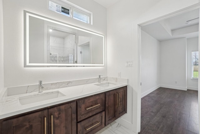 bathroom featuring vanity, plenty of natural light, and hardwood / wood-style floors