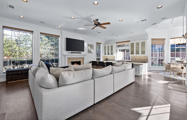 living room with ceiling fan, dark hardwood / wood-style flooring, and crown molding