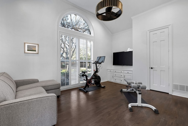 workout area featuring vaulted ceiling, dark hardwood / wood-style floors, and ornamental molding