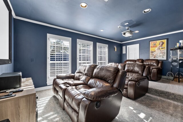 cinema featuring carpet flooring and crown molding