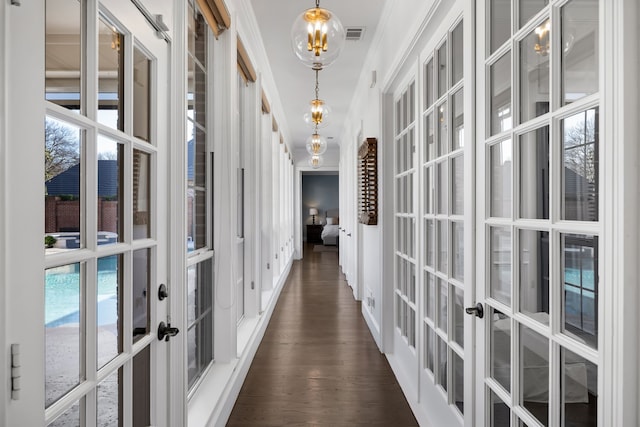 corridor with a wealth of natural light, french doors, dark hardwood / wood-style floors, and ornamental molding