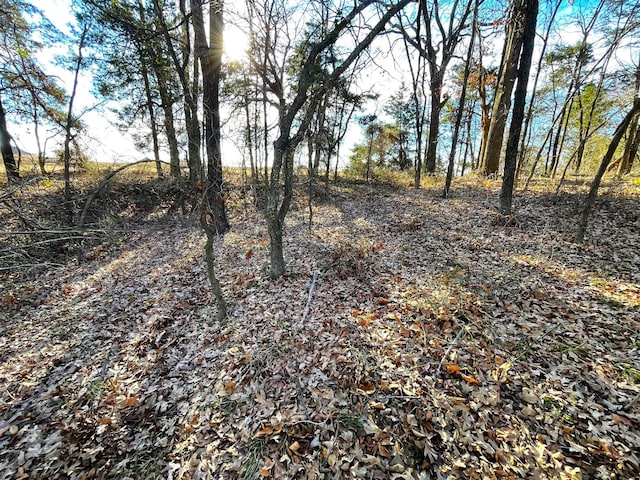 Listing photo 2 for LOT8A S Oakmont Ct, Gordonville TX 76245