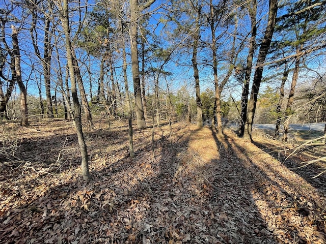 Listing photo 3 for LOT8A S Oakmont Ct, Gordonville TX 76245