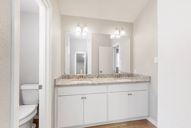 bathroom featuring hardwood / wood-style floors, vanity, and toilet