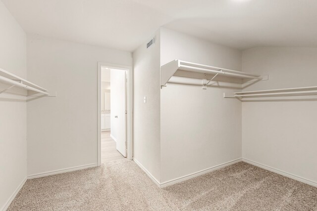 spacious closet with carpet