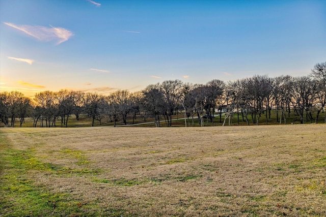 view of yard at dusk