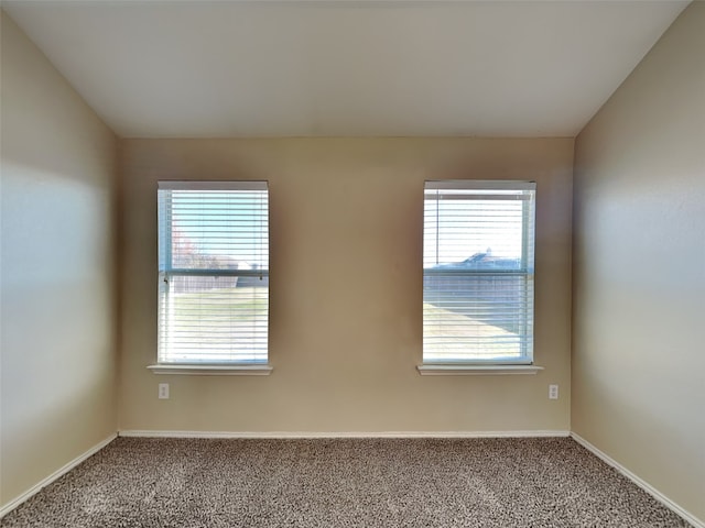 unfurnished room featuring carpet and a wealth of natural light