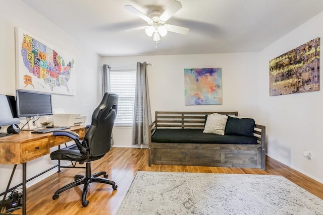 office area featuring hardwood / wood-style flooring and ceiling fan