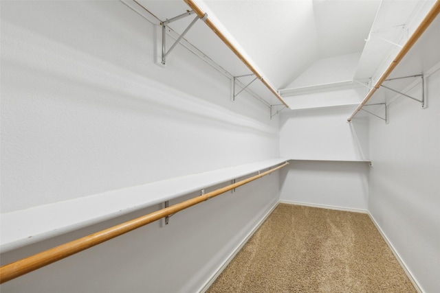 spacious closet featuring carpet flooring