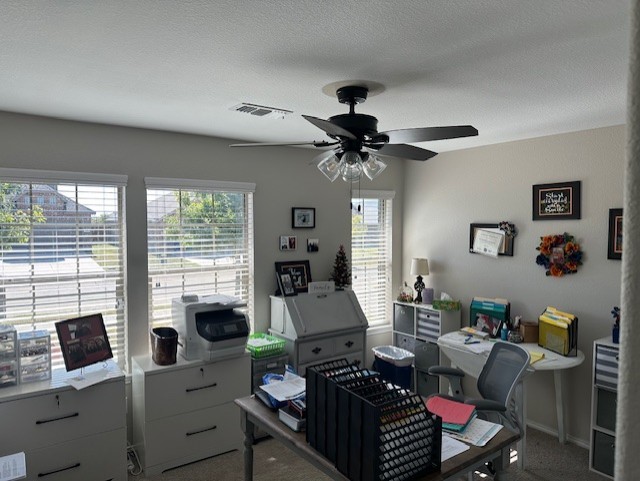 office space featuring a wealth of natural light, ceiling fan, and carpet