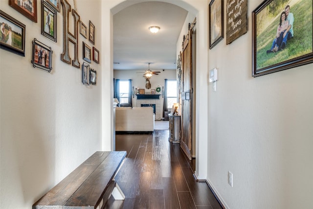 corridor with a barn door and dark hardwood / wood-style flooring