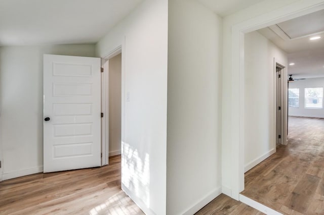 corridor featuring light hardwood / wood-style flooring