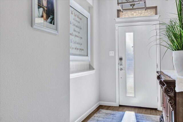 foyer entrance with dark hardwood / wood-style flooring and plenty of natural light