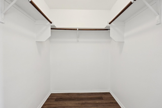 spacious closet featuring dark hardwood / wood-style floors