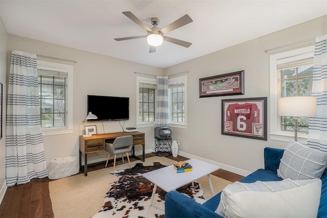 office featuring ceiling fan and hardwood / wood-style flooring