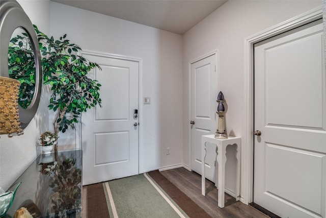 entryway with dark hardwood / wood-style floors