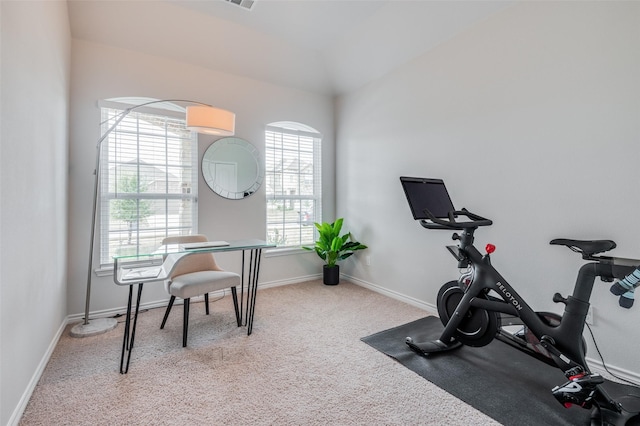 exercise area featuring carpet floors