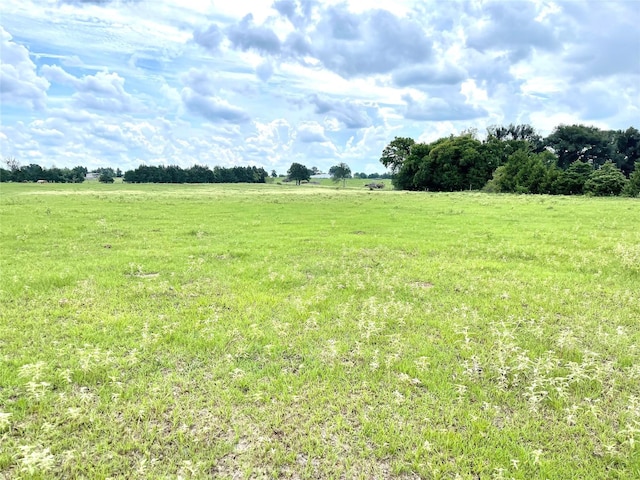 view of local wilderness with a rural view