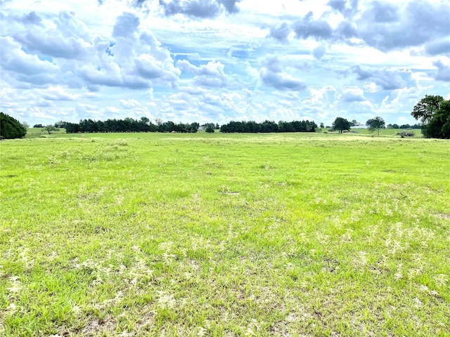 view of yard with a rural view