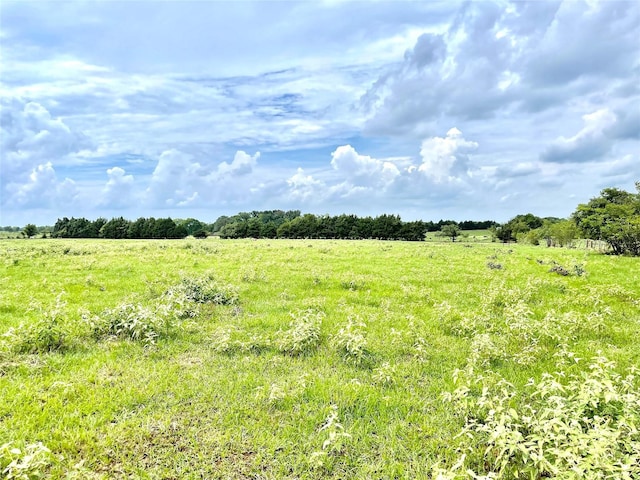 view of landscape featuring a rural view