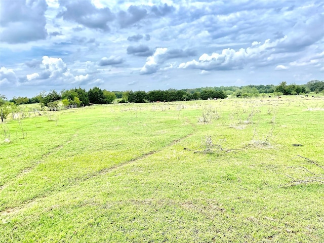 view of yard featuring a rural view