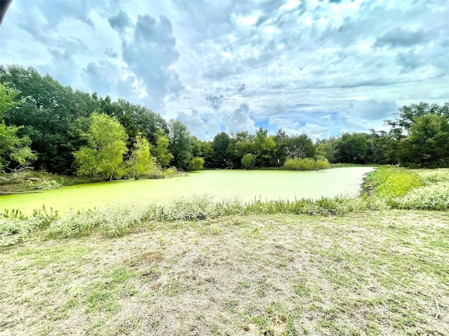 view of local wilderness with a water view