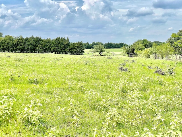 view of nature featuring a rural view