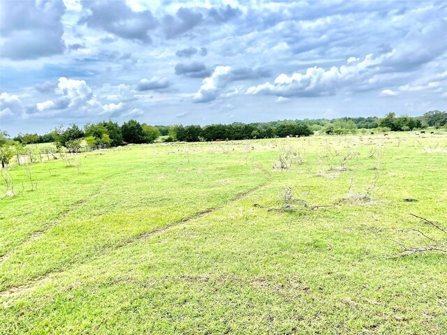 view of yard featuring a rural view