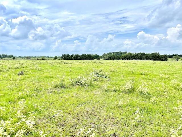 view of nature featuring a rural view