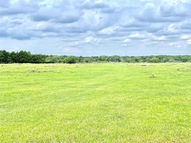 view of yard with a rural view