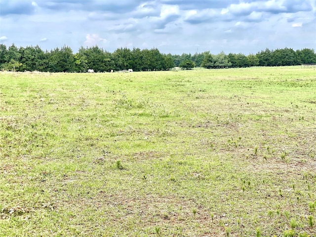 view of nature with a rural view