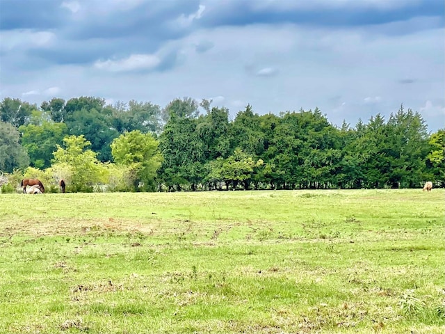 view of nature featuring a rural view