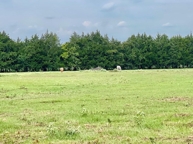 view of landscape with a rural view