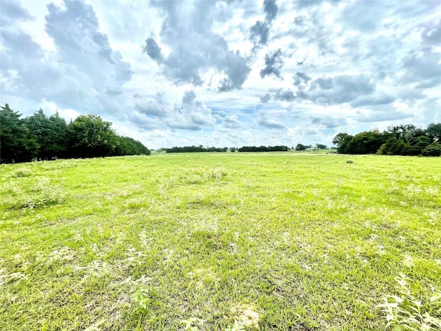 view of yard featuring a rural view