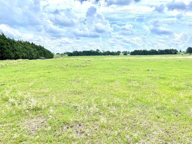 view of yard featuring a rural view