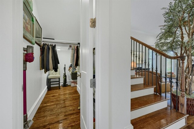 stairway featuring hardwood / wood-style floors