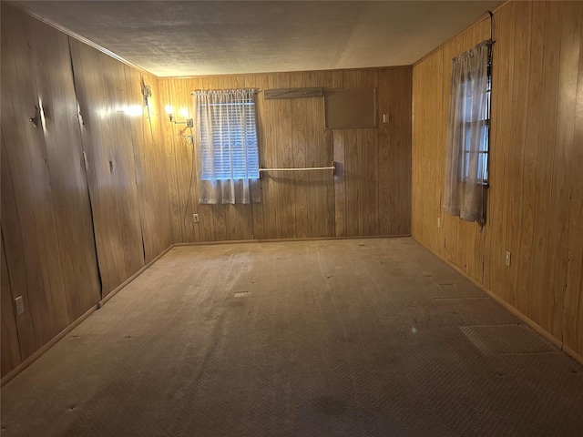 empty room featuring light colored carpet and wood walls