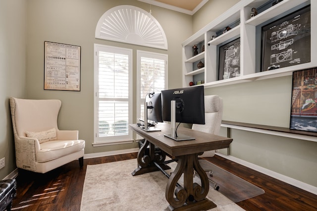 office featuring ornamental molding and dark hardwood / wood-style floors