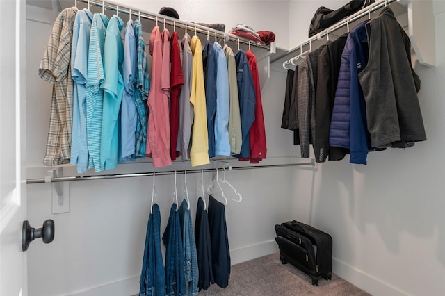 walk in closet featuring carpet flooring