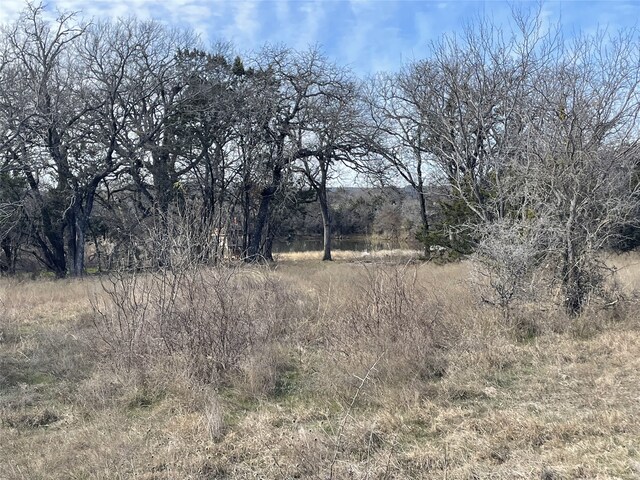 130 New Hope Ln, Palo Pinto, TX 76484