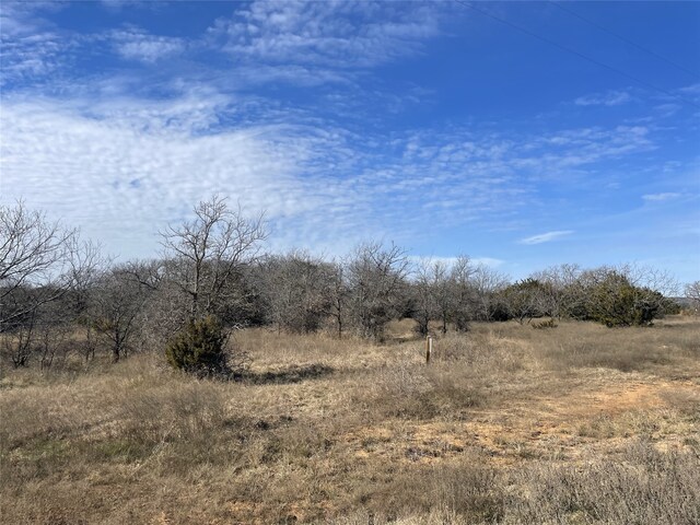 130 New Hope Ln, Palo Pinto, TX 76484