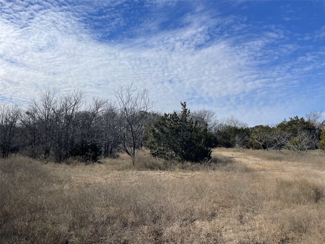 130 New Hope Ln, Palo Pinto, TX 76484