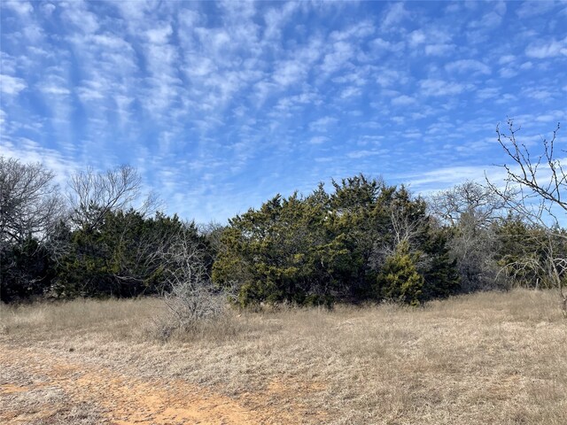 130 New Hope Ln, Palo Pinto, TX 76484