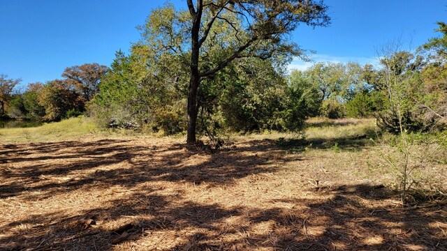 130 New Hope Ln, Palo Pinto, TX 76484