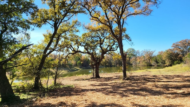 130 New Hope Ln, Palo Pinto, TX 76484