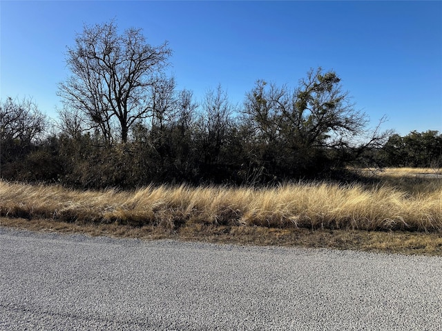 Listing photo 2 for 86 Feather Bay Blvd, Brownwood TX 76801