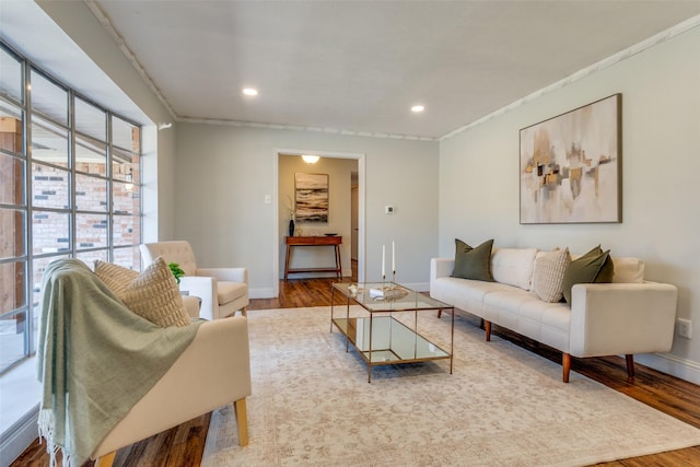 living room with wood-type flooring