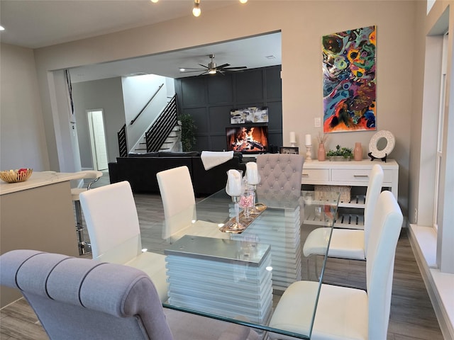 dining room with a large fireplace, light hardwood / wood-style flooring, and ceiling fan