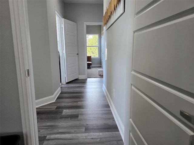 corridor with dark wood-type flooring